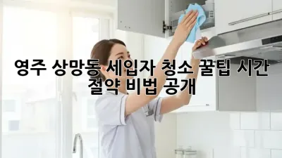 영주 상망동 세입자 청소 꿀팁🍯 시간 절약 비법 공개!
