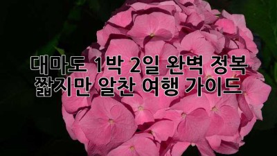 🚢 대마도 1박 2일 완벽 정복! 짧지만 알찬 여행 가이드 ദ്ദി( ◠‿◠ )