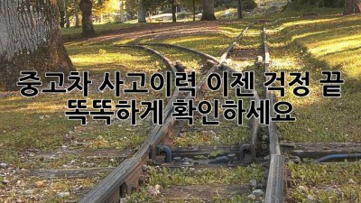 중고차 사고이력? 이젠 걱정 끝! 똑똑하게 확인하세요!